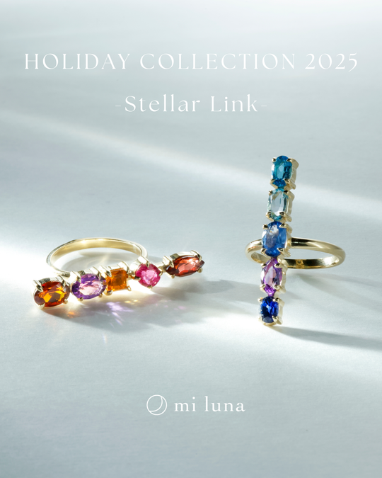 HOLIDAY COLLECTION 2025 - Stellar Link -
